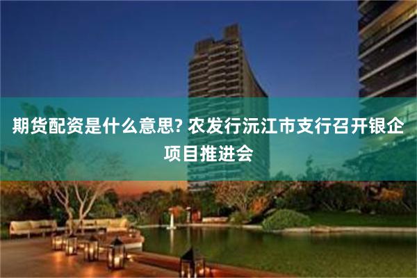 期货配资是什么意思? 农发行沅江市支行召开银企项目推进会