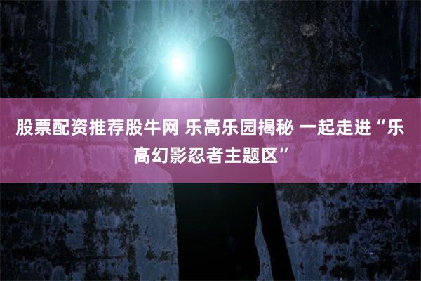 股票配资推荐股牛网 乐高乐园揭秘 一起走进“乐高幻影忍者主题区”