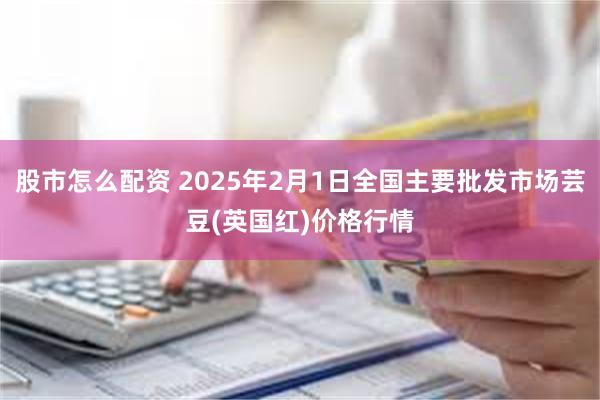 股市怎么配资 2025年2月1日全国主要批发市场芸豆(英国红)价格行情