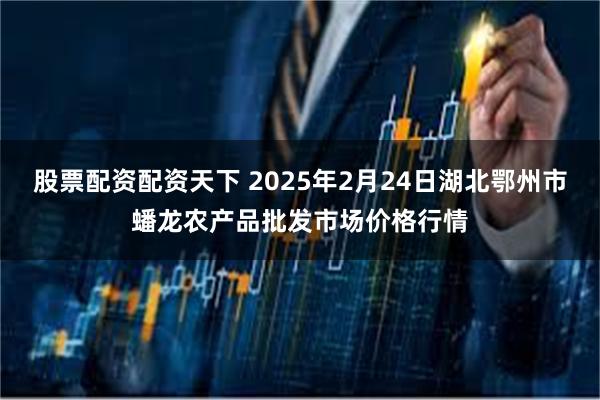 股票配资配资天下 2025年2月24日湖北鄂州市蟠龙农产品批发市场价格行情