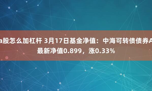 a股怎么加杠杆 3月17日基金净值：中海可转债债券A最新净值0.899，涨0.33%
